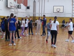 viber_slika_2024-10-12_00-09-57-189.jpg